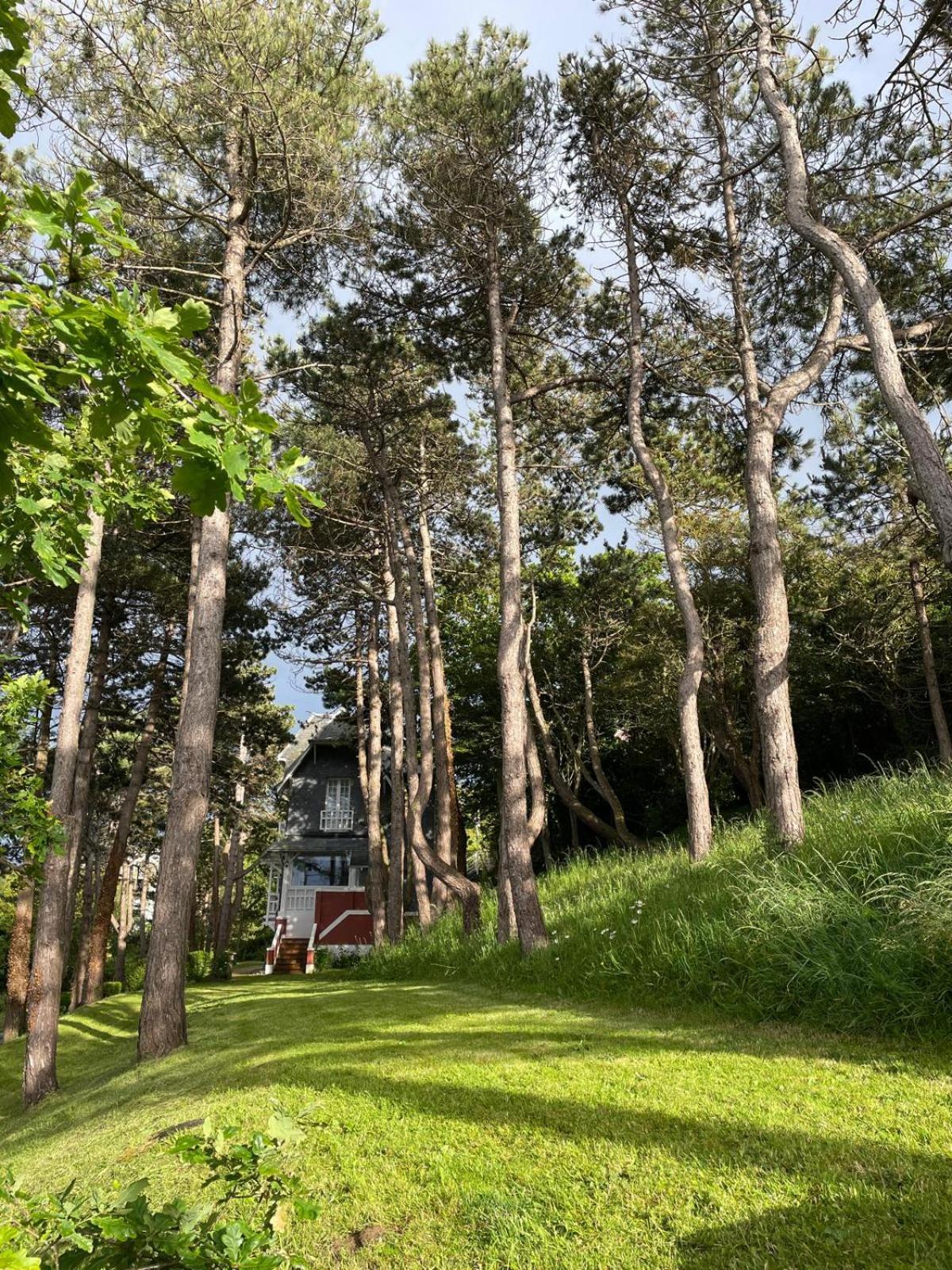 Villa Vue Mer Panoramique En Baie De Somme Ault Buitenkant foto